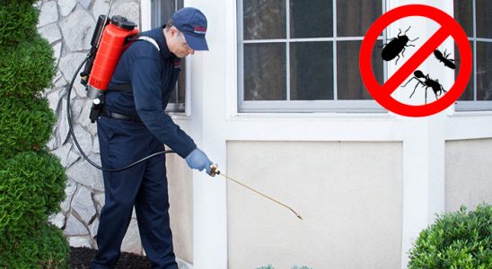 Halkapınar Hamam Böceği İlaçlama böcek ilaçlama ve haşere kontrolü — ilaclama-tr.com